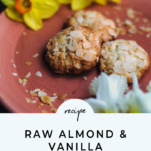 raw-almond-vanilla-macaroons