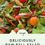 deliciously-raw-fall-salad
