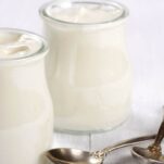 how to make coconut yogurt at home (1)