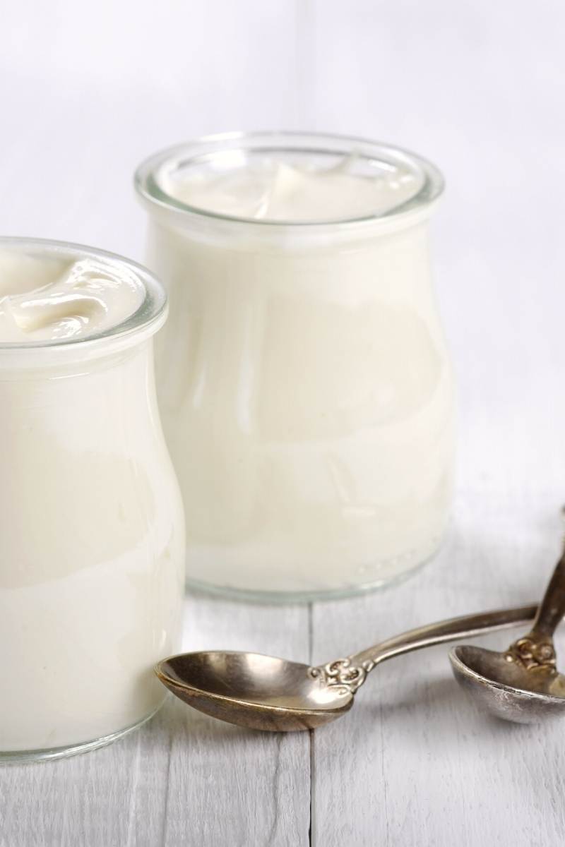 how to make coconut yogurt at home (1)