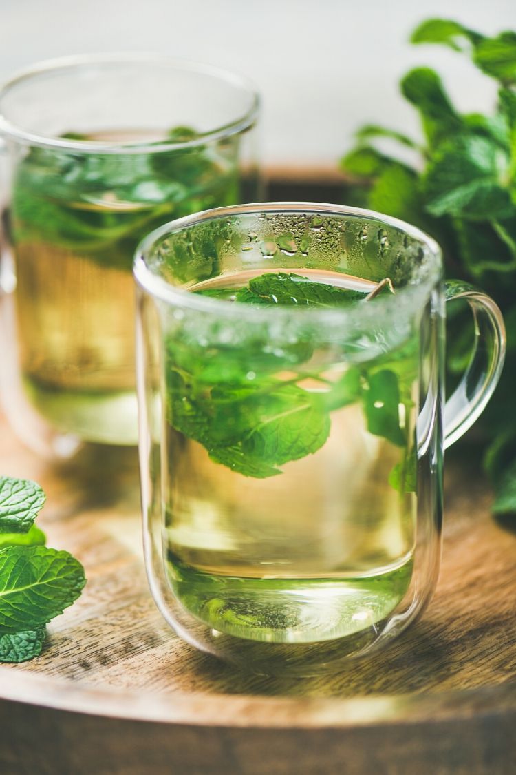 Benefits Of Peppermint Tea After Dinner Elizabeth Rider Benefits Of Peppermint Tea After Dinner Elizabeth Rider