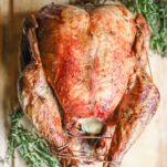 Thanksgiving Turkey Elizabeth Rider
