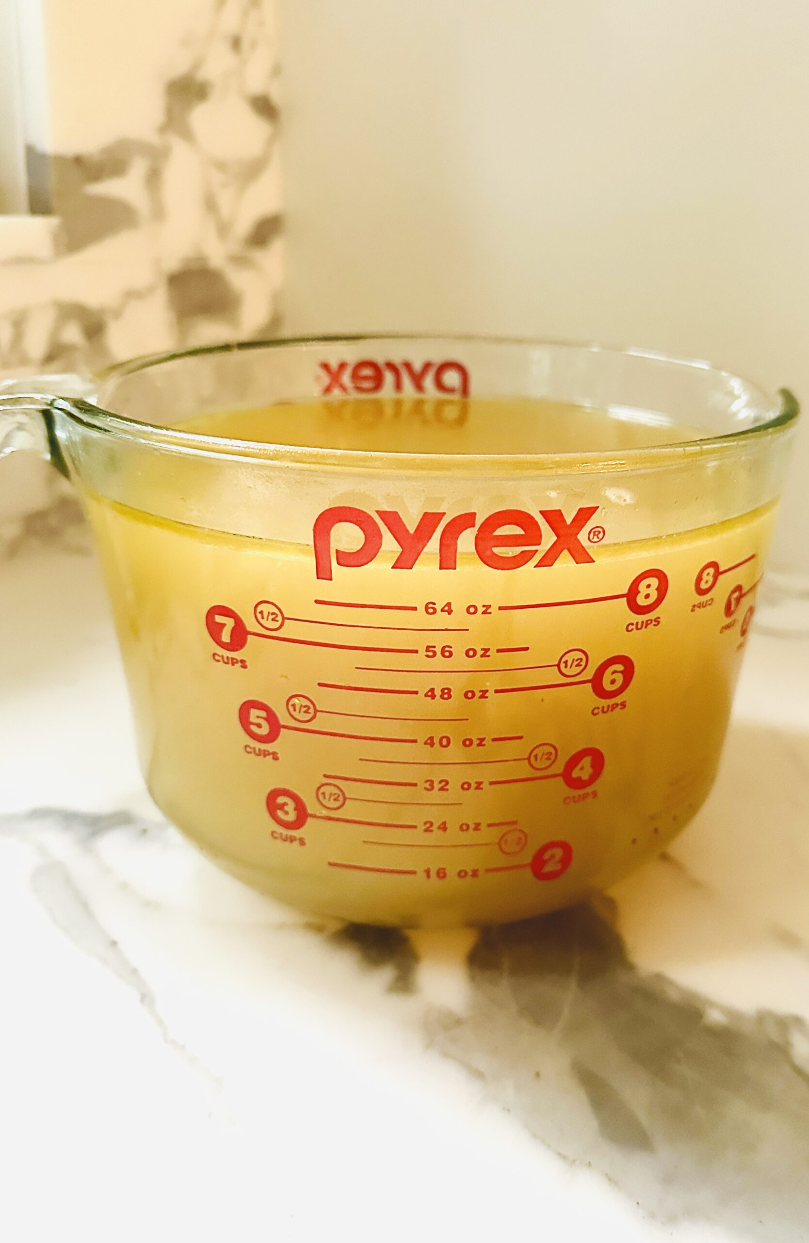 Turkey Stock for Gravy and Stuffing Pre Thanksgiving by Elizabeth Rider