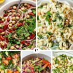 Top Potluck Recipes Elizabeth Rider