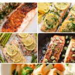 Collage featuring healthy salmon dinner recipes, from baked lemon garlic salmon to honey ginger glazed salmon and miso salmon curry.