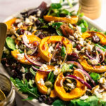 Delicata Squash and Arugula salad with feta, cranberries and red onion and pumpkin seeds on white plate