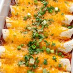 Chicken Enchiladas