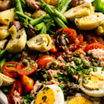 Colorful Nicoise salad platter with tuna, green beans, potatoes, eggs, and olives for a healthy meal by Elizabeth Rider