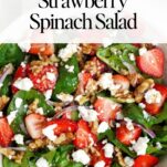 Strawberry Spinach Salad with Balsamic Dressing
